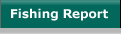 Fishing Report button